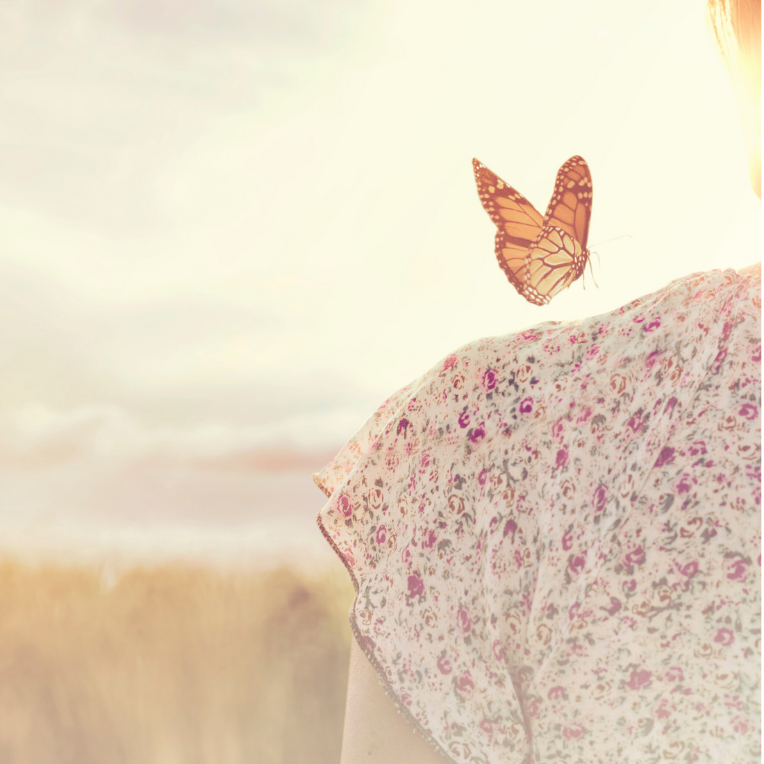 When the Dream Arrives